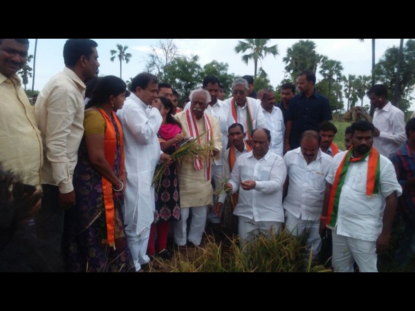పంట పొలాల పరిశీలన