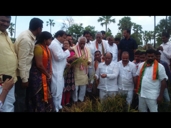 పంట పొలాల పరిశీలన