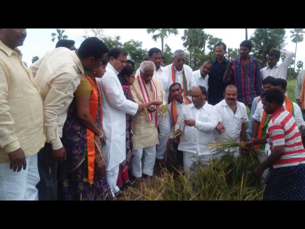 పంట పొలాల పరిశీలన
