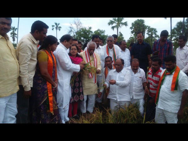 పంట పొలాల పరిశీలన