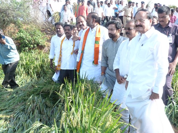 వెంకయ్యనాయుడు