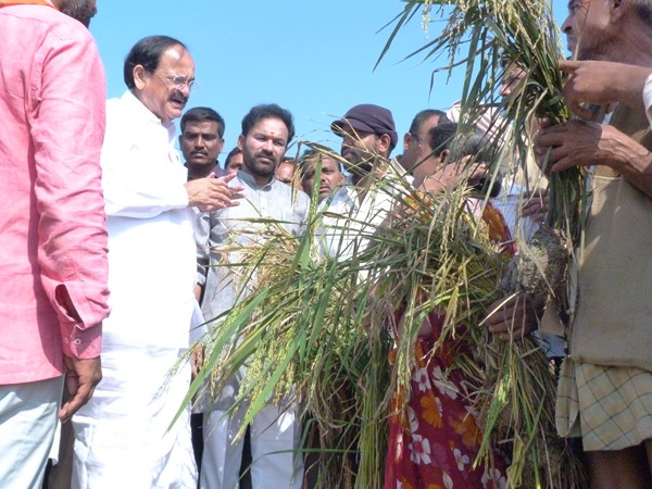 వెంకయ్యనాయుడు