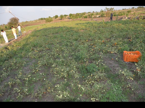 అధైర్యం వద్దు, ప్రభుత్వం ఆదుకుంటుంది: నాయిని