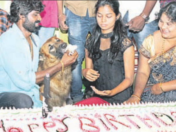 శునకరాజానికి జన్మదిన వేడుకలు