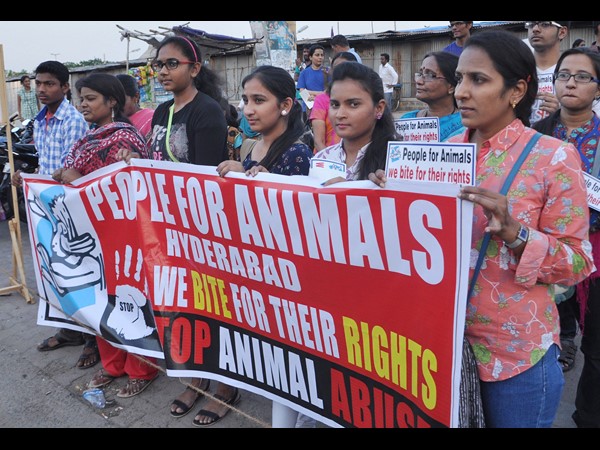 పీపుల్స్ ఫర్ ఎనిమల్స్