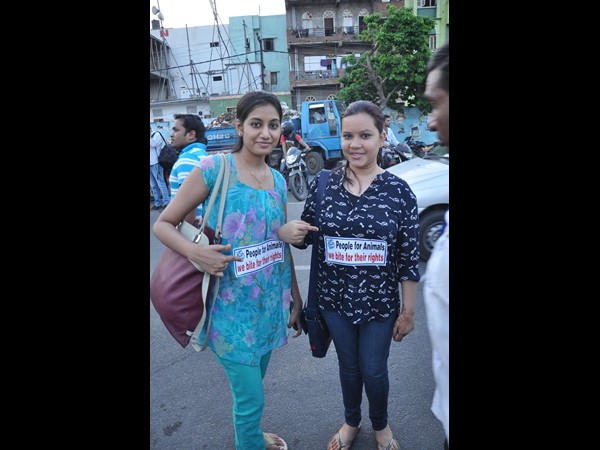 పీపుల్స్ ఫర్ ఎనిమల్స్