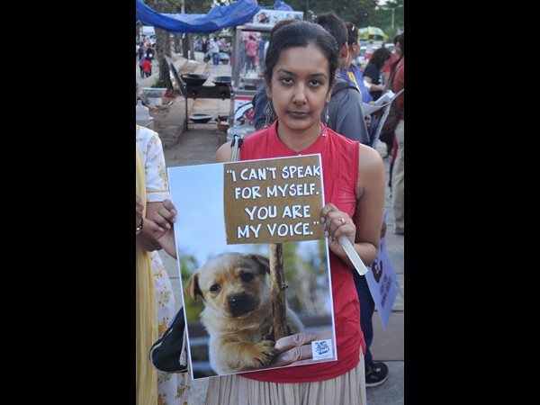 పీపుల్స్ ఫర్ ఎనిమల్స్