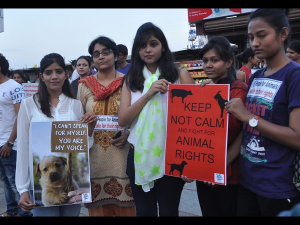 పీపుల్స్ ఫర్ ఎనిమల్స్