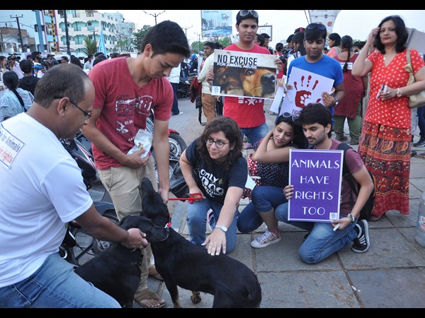 పీపుల్స్ ఫర్ ఎనిమల్స్