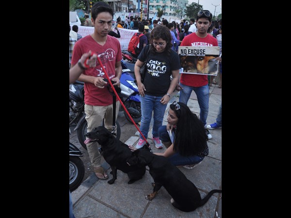 పీపుల్స్ ఫర్ ఎనిమల్స్