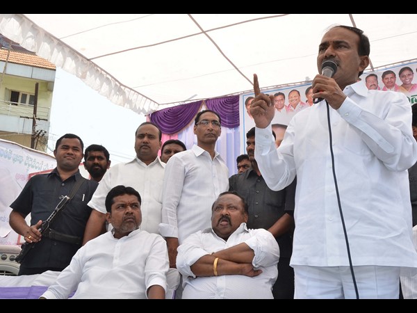 నో బర్డ్‌ఫ్లూ