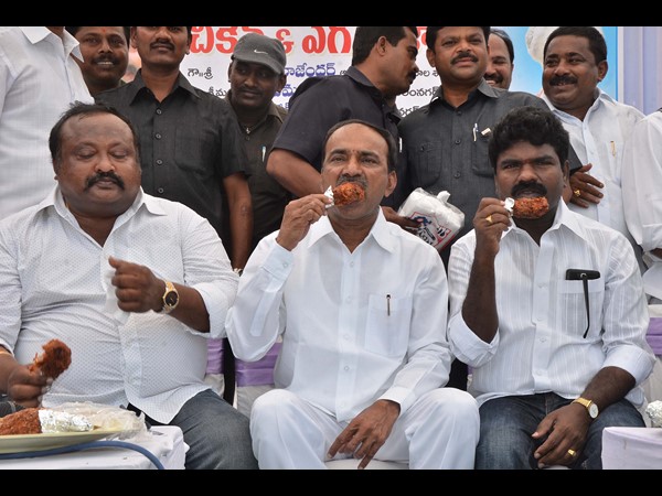 నో బర్డ్‌ఫ్లూ