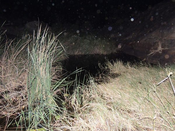 ఆదిమానవుడి ఆనవాళ్లు