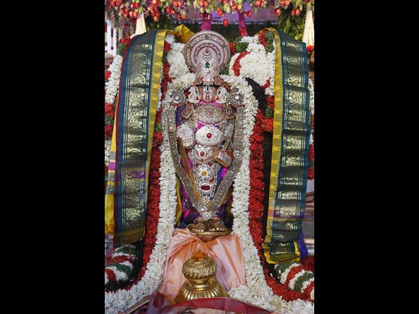 అంగరంగ వైభవంగా పద్మావతి పరిణయోత్సవం అంగరంగ వైభవంగా పద్మావతి పరిణయోత్సవం