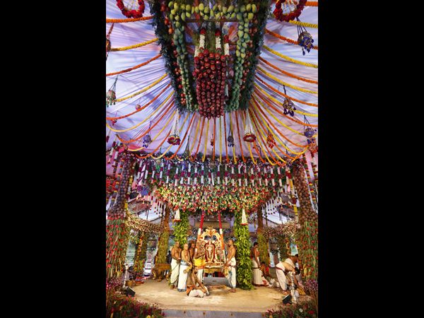 అంగరంగ వైభవంగా పద్మావతి పరిణయోత్సవం అంగరంగ వైభవంగా పద్మావతి పరిణయోత్సవం