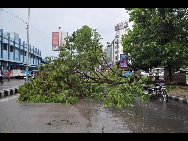 గాలి, వాన బీభత్సం