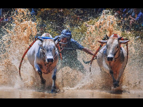  నా కళ్లతో ప్రపంచాన్ని చూడండి