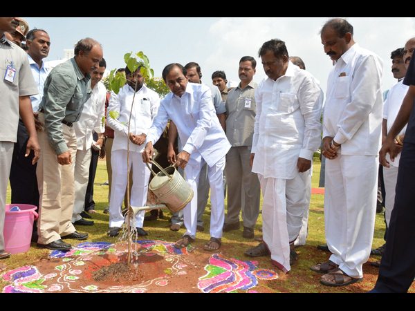  బుద్ధవనంలో కేసీఆర్, మొక్క నాటారు