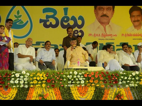 ప్రభుత్వ కార్యక్రమాలపై...