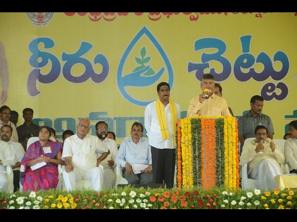 ఏరియల్ సర్వే
