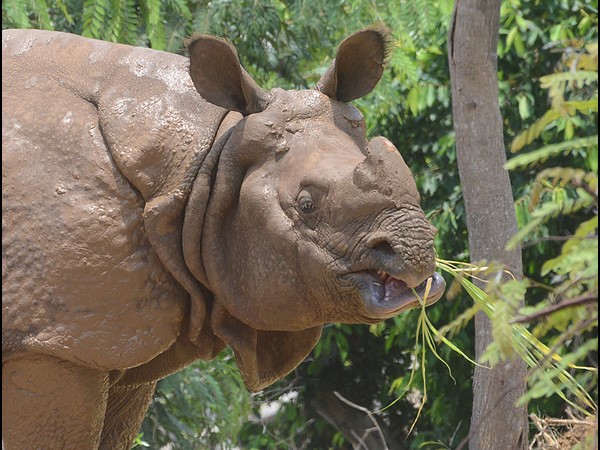 భానుడి భగభగ