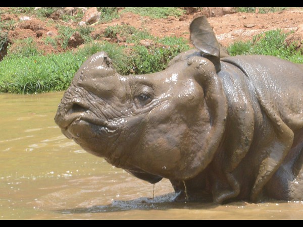  భానుడి భగభగ