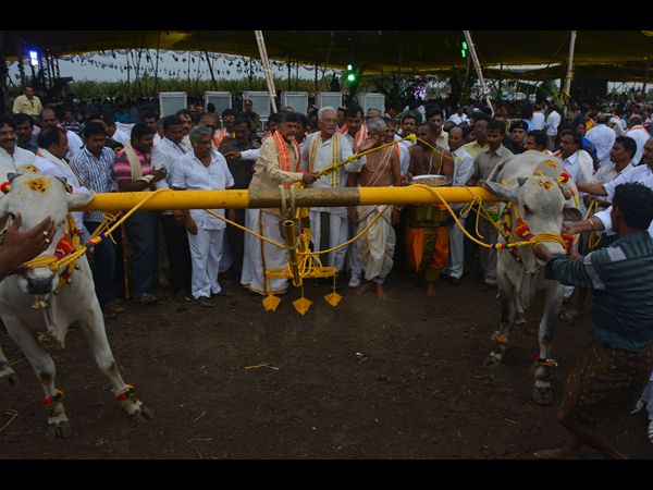 నాగలి దున్నుతున్న బాబు నాగలి దున్నుతున్న బాబు