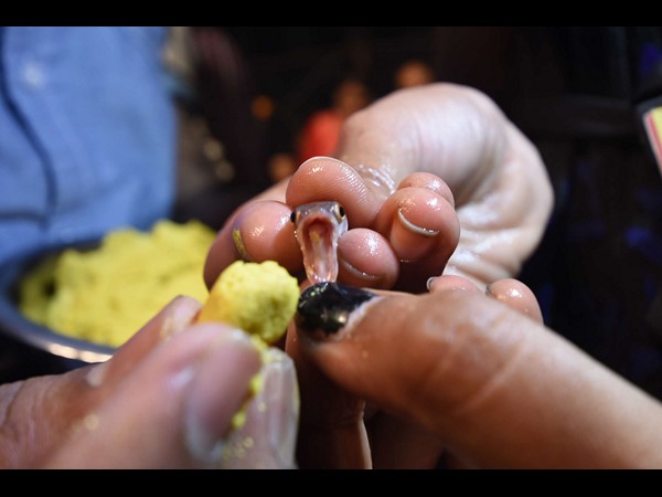 చేపమందు