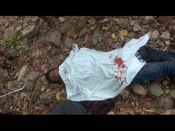 సంతకు వెళ్తుండగా ట్రక్ బోల్తా: 2 మృతి, 27 మందికి గాయాలు