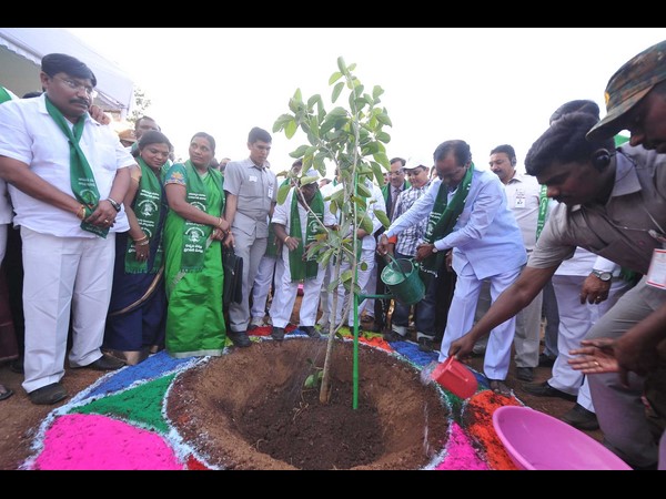 సిఎం కెసిఆర్