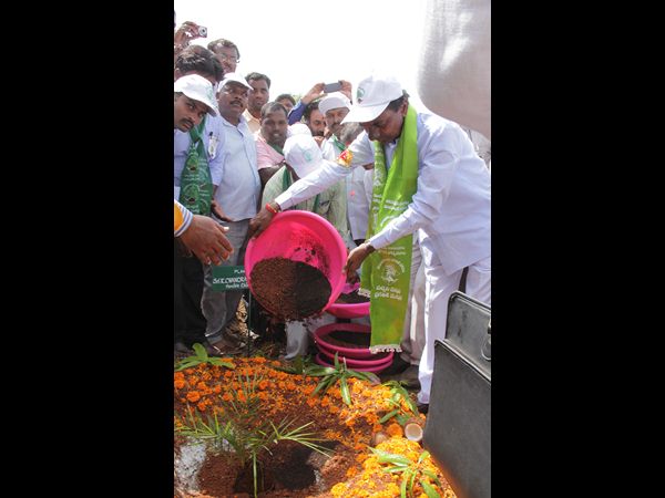  హరిత హారం