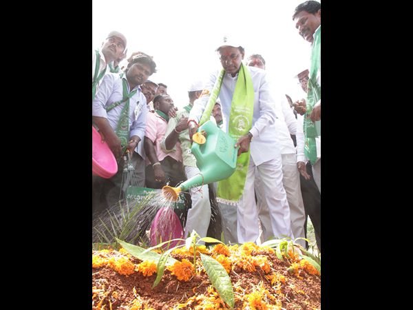  హరిత హారం