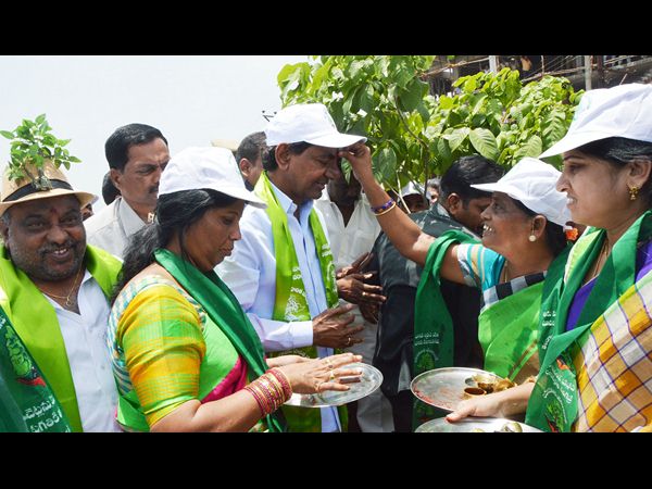  హరిత హారం
