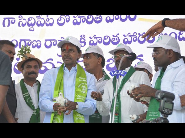  హరిత హారం