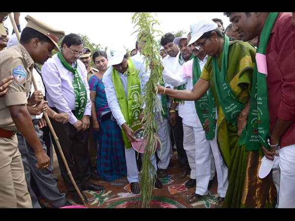 కెసిఆర్