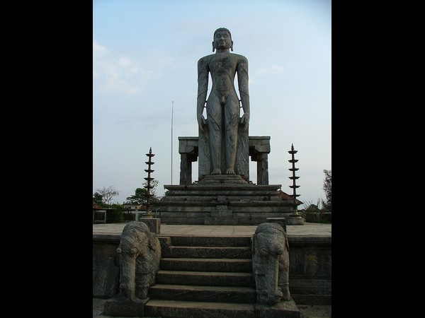 అడవుల్లో జ్ఞానోదయం