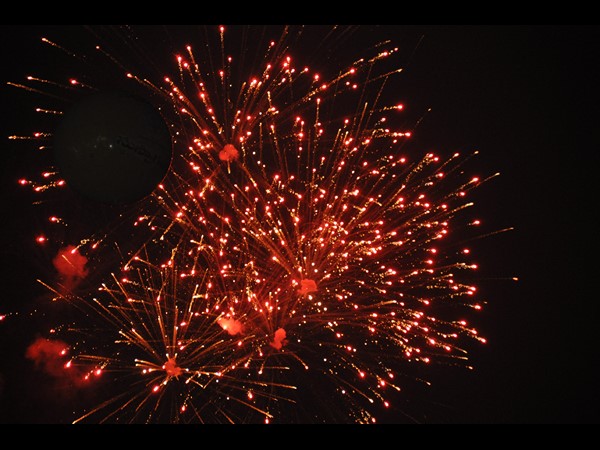 పుష్కర సంరంభం