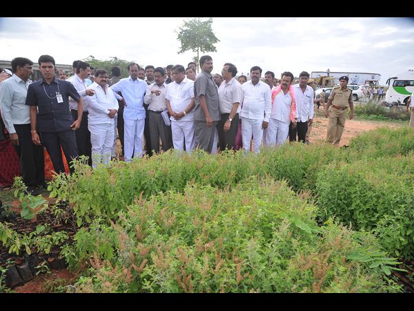 సిఎం కెసిఆర్