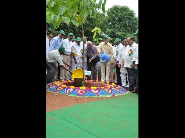 గోదావరి పుష్కరాలు