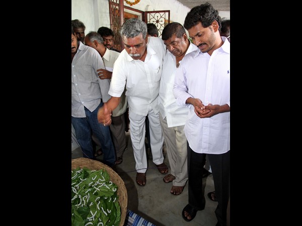 జగన్ పంట పరిశీలన