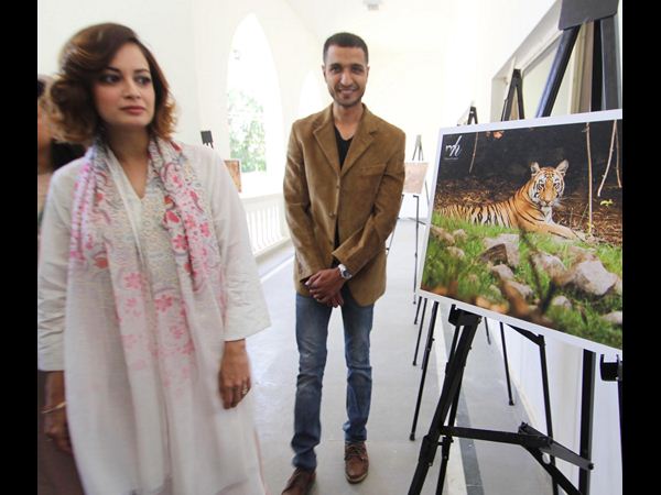 సేవ్ టైగర్స్