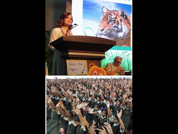 సేవ్ టైగర్స్