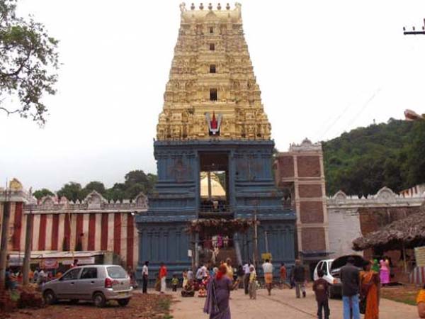 విశాఖపట్నం: గురు పౌర్ణమి సందర్భంగా జిల్లాలోని సింహాచలంలో కొలువైన శ్రీ లక్ష్మీ నరసింహాస్వామి వారి దర్శనం కోసం శుక్రవారం భక్తులు పోటెత్తారు. స్వామి వారికి ఆలయ అర్చకులు ఆఖరి విడత చందనం సమర్పణ చేశారు. ఆషాఢ పౌర్ణమి సందర్భంగా సింహగిరి చుట్టూ 32 కిలోమీటర్ల మేర ప్రదక్షణ పూర్తి చేసుకున్న భక్తులు అప్పన్న దర్శనం కోసం బారులు తీరారు. సుమారు 3 లక్షల మంది భక్తులు స్వామి వారి దర్శనం కోసం వచ్చారు. దీంతో అక్కడ భారీగా ట్రాఫిక్ జామ్ ఎర్పడింది. ఇది ఇలా ఉంటే సింహాచలం అప్పన్న ప్రసాదంలో పురుగులు బయటపడ్డాయి. గుడిలో గిరిప్రదక్షిణలు పూర్తి చేసుకున్న భక్తులు స్వామి వారి ప్రసాదం లడ్డూలు తీసుకున్నారు. లడ్డూలను విప్పిచూడగా పురుగులు వెలుగు చూడటంతో భక్తులు ఒక్కసారిగా షాక్ కు గురయ్యారు. దీనిపై సమాచారం అందుకున్న ఏపీ మానవ వనరుల శాఖ మంత్రి గంటా శ్రీనివాసరావు ఆలయ భక్తులను వివరణ కోరారు. అధికారుల నిర్లక్ష్యంపై ఆయన సీరియస్ అయినట్లు తెలుస్తోంది. ఇకపై ప్రసాదం తయారీలో నాణ్యతా ప్రమాణాలను పాటించాలని, లడ్డూలను పూర్తి స్థాయిలో పరీక్షించిన తర్వాతే పంపిణీ చేయాలని ఆయన ఆదేశాలు జారీ చేశారు. లడ్డూలో పురుగులు వెలుగు చూడటంతో భక్తులు ఆందోళనకు దిగారు. మరోవైపు ఆలయ అధికారుల నిర్లక్ష్యంపై చర్యలు తీసుకోవాలని డిమాండ్ చేశారు. విశాఖపట్నం: గురు పౌర్ణమి సందర్భంగా జిల్లాలోని సింహాచలంలో కొలువైన శ్రీ లక్ష్మీ నరసింహాస్వామి వారి దర్శనం కోసం శుక్రవారం భక్తులు పోటెత్తారు. స్వామి వారికి ఆలయ అర్చకులు ఆఖరి విడత చందనం సమర్పణ చేశారు. ఆషాఢ పౌర్ణమి సందర్భంగా సింహగిరి చుట్టూ 32 కిలోమీటర్ల మేర ప్రదక్షణ పూర్తి చేసుకున్న భక్తులు అప్పన్న దర్శనం కోసం బారులు తీరారు. సుమారు 3 లక్షల మంది భక్తులు స్వామి వారి దర్శనం కోసం వచ్చారు. దీంతో అక్కడ భారీగా ట్రాఫిక్ జామ్ ఎర్పడింది. ఇది ఇలా ఉంటే సింహాచలం అప్పన్న ప్రసాదంలో పురుగులు బయటపడ్డాయి. గుడిలో గిరిప్రదక్షిణలు పూర్తి చేసుకున్న భక్తులు స్వామి వారి ప్రసాదం లడ్డూలు తీసుకున్నారు. లడ్డూలను విప్పిచూడగా పురుగులు వెలుగు చూడటంతో భక్తులు ఒక్కసారిగా షాక్ కు గురయ్యారు. దీనిపై సమాచారం అందుకున్న ఏపీ మానవ వనరుల శాఖ మంత్రి గంటా శ్రీనివాసరావు ఆలయ భక్తులను వివరణ కోరారు. అధికారుల నిర్లక్ష్యంపై ఆయన సీరియస్ అయినట్లు తెలుస్తోంది. ఇకపై ప్రసాదం తయారీలో నాణ్యతా ప్రమాణాలను పాటించాలని, లడ్డూలను పూర్తి స్థాయిలో పరీక్షించిన తర్వాతే పంపిణీ చేయాలని ఆయన ఆదేశాలు జారీ చేశారు. లడ్డూలో పురుగులు వెలుగు చూడటంతో భక్తులు ఆందోళనకు దిగారు. మరోవైపు ఆలయ అధికారుల నిర్లక్ష్యంపై చర్యలు తీసుకోవాలని డిమాండ్ చేశారు.