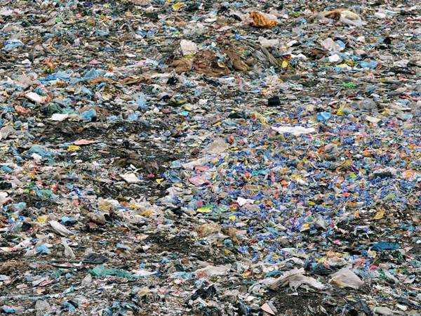 టాప్ 100 నగరాలలో