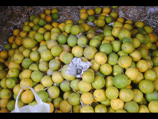 షాపుల సీజ్