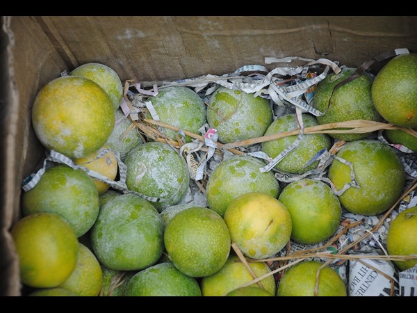 జాయింట్ కలెక్టర్ స్వయంగా..