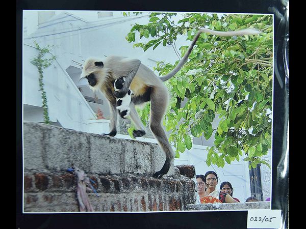  ఈరోజు వరల్డ్ ఫొటోగ్రఫీ డే