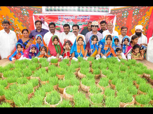 తీజ్ సందడి