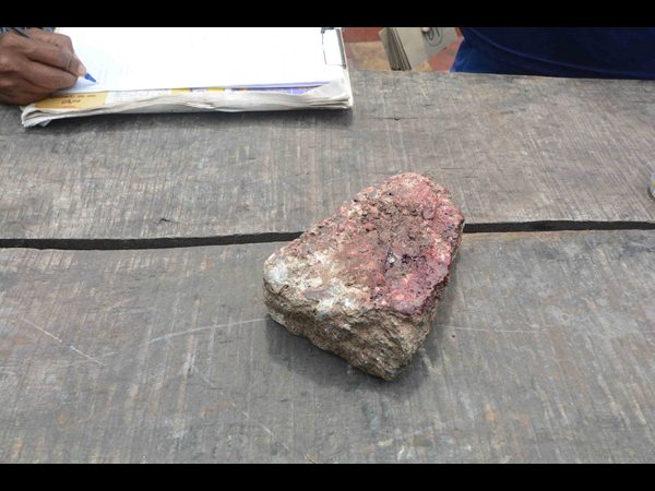  దారుణం: బండరాయితో మోది యాచకురాలి దారుణ హత్య