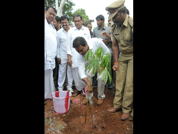 మొక్క నాటుతూ..